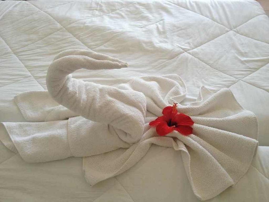 סקאורי Hotel Aurora מראה חיצוני תמונה